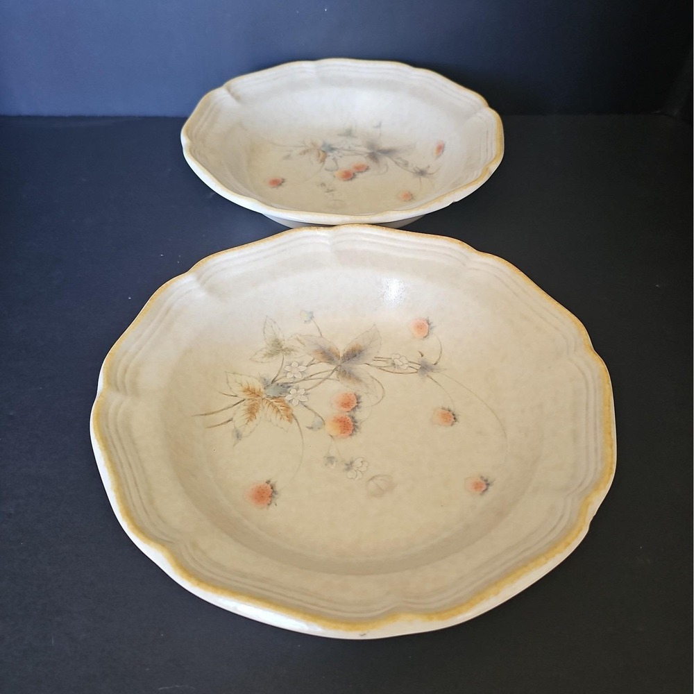 Mikasa Berry Vale FG001 Bowls Set of 2 Country Charm Japan Vintage READ